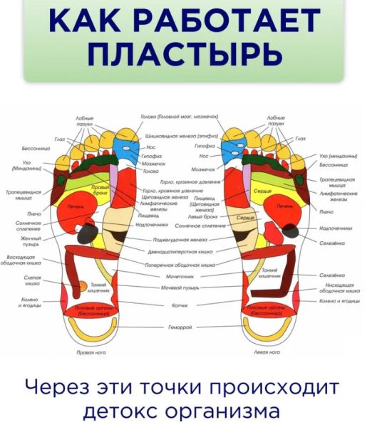 Детоксикационный пластырь Киноки Kinoki C&E Foot Patch(10 патчей) продажа и отгрузка коробками кор/120шт